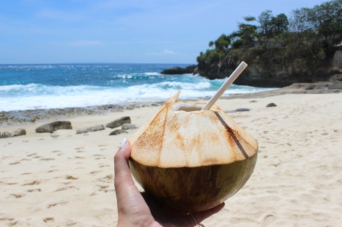 Kokosnoot Bali