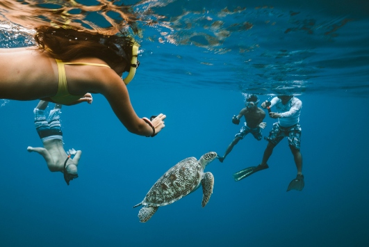 Schildpad snorkel Bali